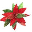 POINSETTIA AND FLOWERS