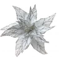 WHITE SILVER EDGE POINSETTIA
