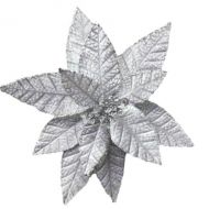 SILVER PONISETTIA