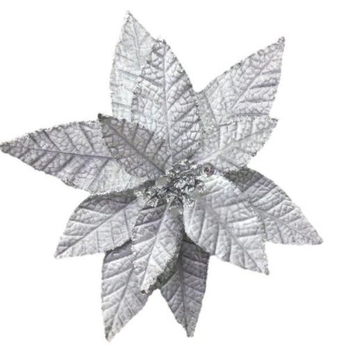 SILVER PONISETTIA
