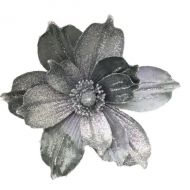 SILVER MAGNOLIA