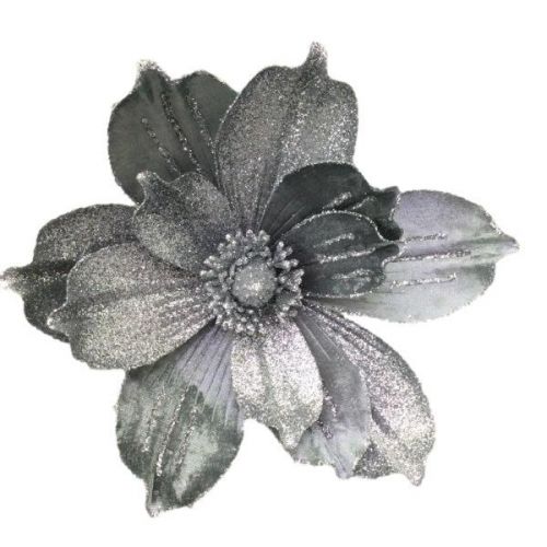 SILVER  MAGNOLIA