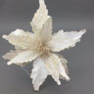 IVORY POINSETTIA