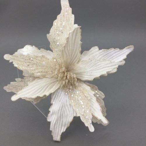 IVORY POINSETTIA