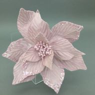 PINK POINSETTIA