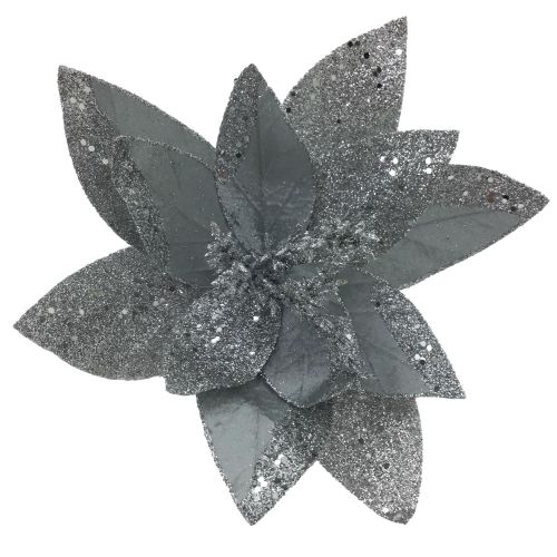SILVER POINSETTIA