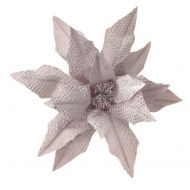 PINK POINSETTIA