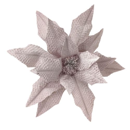 PINK POINSETTIA