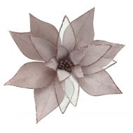 PALE PINK POINSETTIA