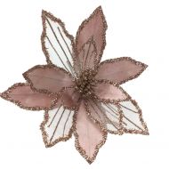PINK POINSETTIA