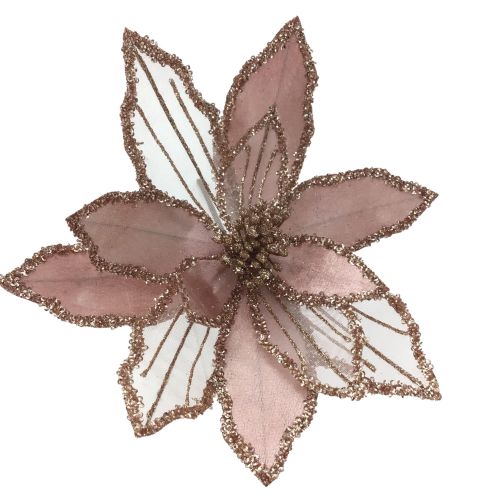 PINK POINSETTIA