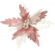 PINK WHITE POINSETTIA