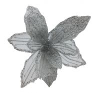 WHITE SILVER POINSETTIA