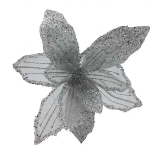 WHITE SILVER POINSETTIA