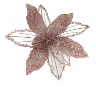 ROSE POINSETTIA