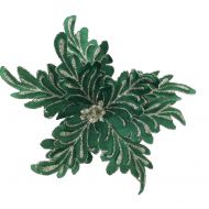 GREEN CHAMP FLOWER