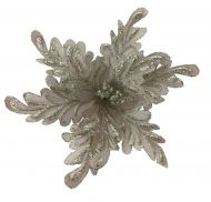 CHAMPAGNE FLOWER