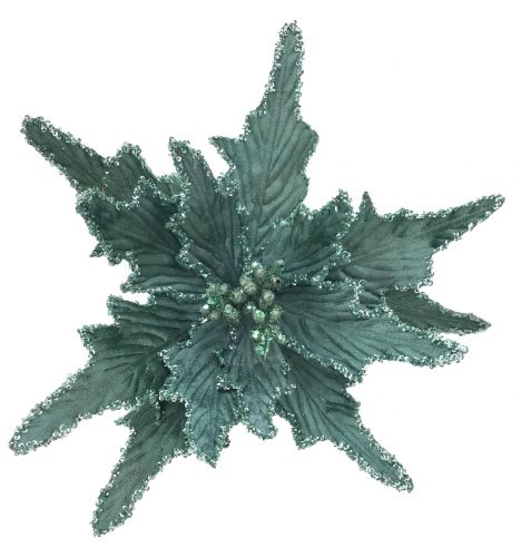 AQUA POINSETTIA