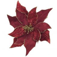 BURGUNDY POINSETTIA