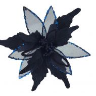 MIDNIGHT BLUE POINSETTIA
