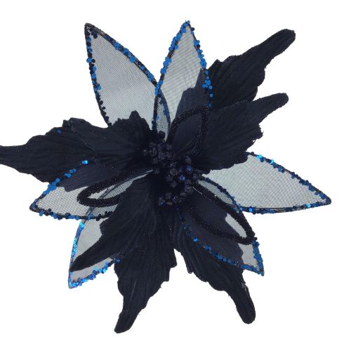 MIDNIGHT BLUE POINSETTIA