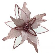 PALE PINK POINSETTIA
