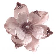 PINK MAGNOLIA