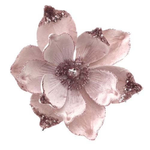 PINK MAGNOLIA