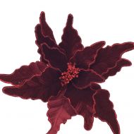 BURGUNDY POINSETTIA